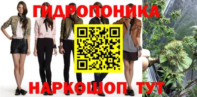 шишки Кунгур