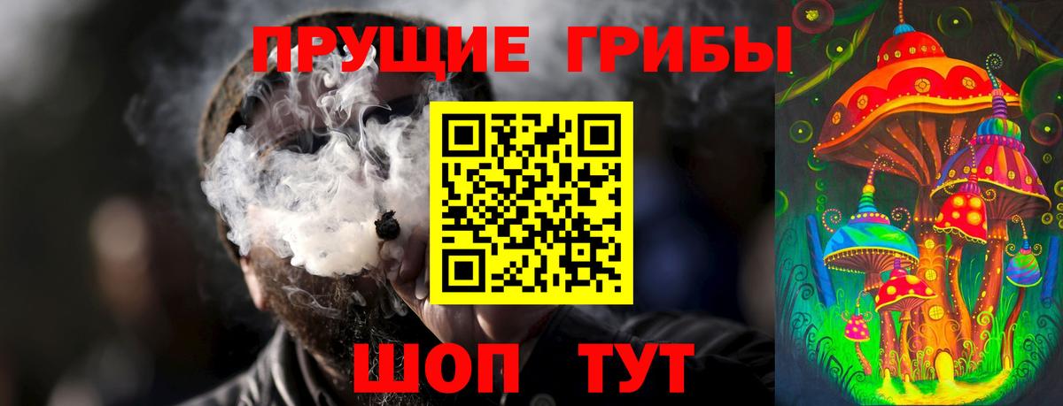 Псилоцибиновые грибы MAGIC MUSHROOMS  Вход с VPN  Черкесск 
